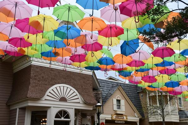 15 Unique Things To Do in Gatlinburg & Pigeon Forge