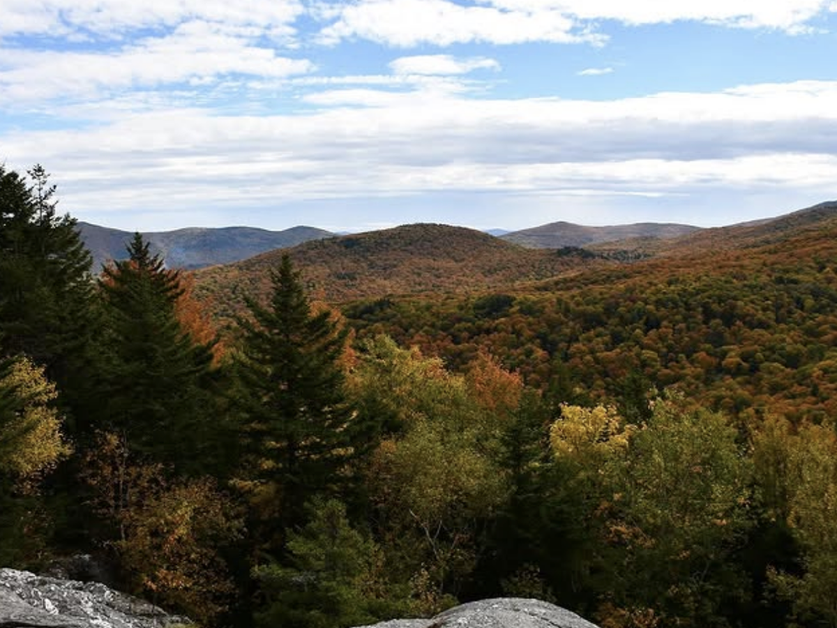 Rolling hills blanketed in autumn foliage stretch into the distance under a partly cloudy sky, with evergreens framing the foreground.