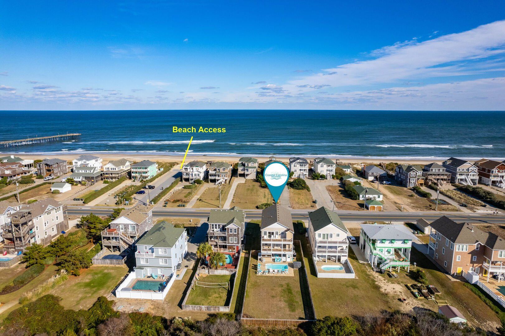 Pelicans Post in Outer Banks