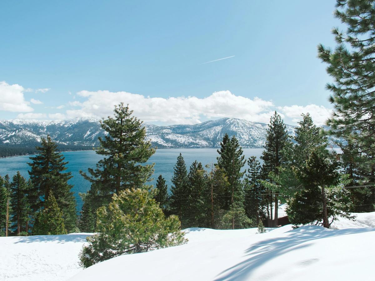 Snow-covered pine trees overlook a brilliant blue alpine lake, framed by distant, rugged mountains dusted in white under a bright winter sky.