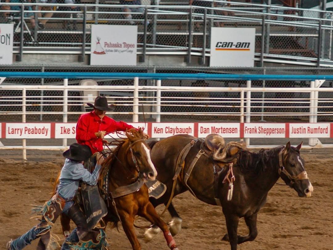 A rodeo cowboy rides a bucking horse in the Cody Night Rodeo, with the crowd watching from the stands. This lively tradition showcases Wyoming’s western heritage and thrilling rodeo action.