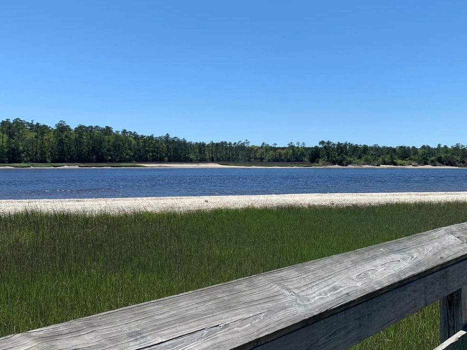 wooden railing overlooking grass and water