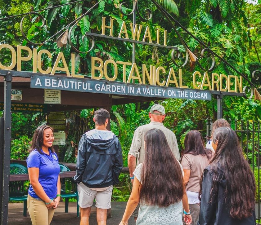 The Hawaii Tropical Botanical Garden invites visitors into a lush paradise filled with vibrant flowers, waterfalls, and tropical greenery. It’s a peaceful escape where you can stroll winding paths and discover rare plan