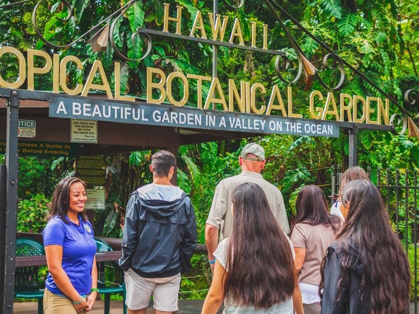 The Hawaii Tropical Botanical Garden invites visitors into a lush paradise filled with vibrant flowers, waterfalls, and tropical greenery. It’s a peaceful escape where you can stroll winding paths and discover rare plan
