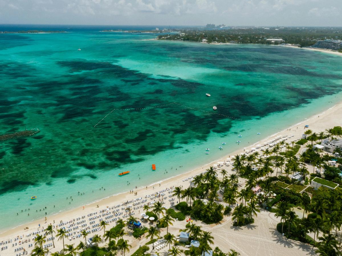 Aerial view of a Bahamian beach with turquoise waters and white sand lined with palm trees. The clear sky and vibrant sea make it the perfect snapshot of why timing your trip to the Bahamas matters.