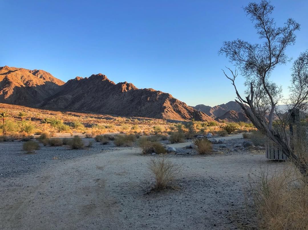 Golden sunlight casts a warm glow over the rugged desert mountains and sandy trail below. Sparse desert brush and a lone tree frame the scene, highlighting the vast, open beauty of the landscape under a clear blue sky.
