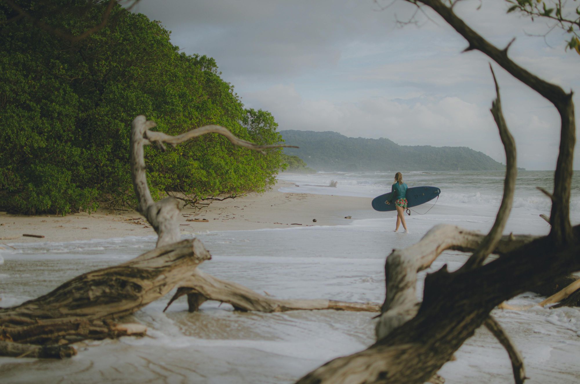 Woman walking with a surfboard along a wild, driftwood-covered beach with lush green trees. Tamarindo’s waves and peaceful nature make it a dream for surfers.