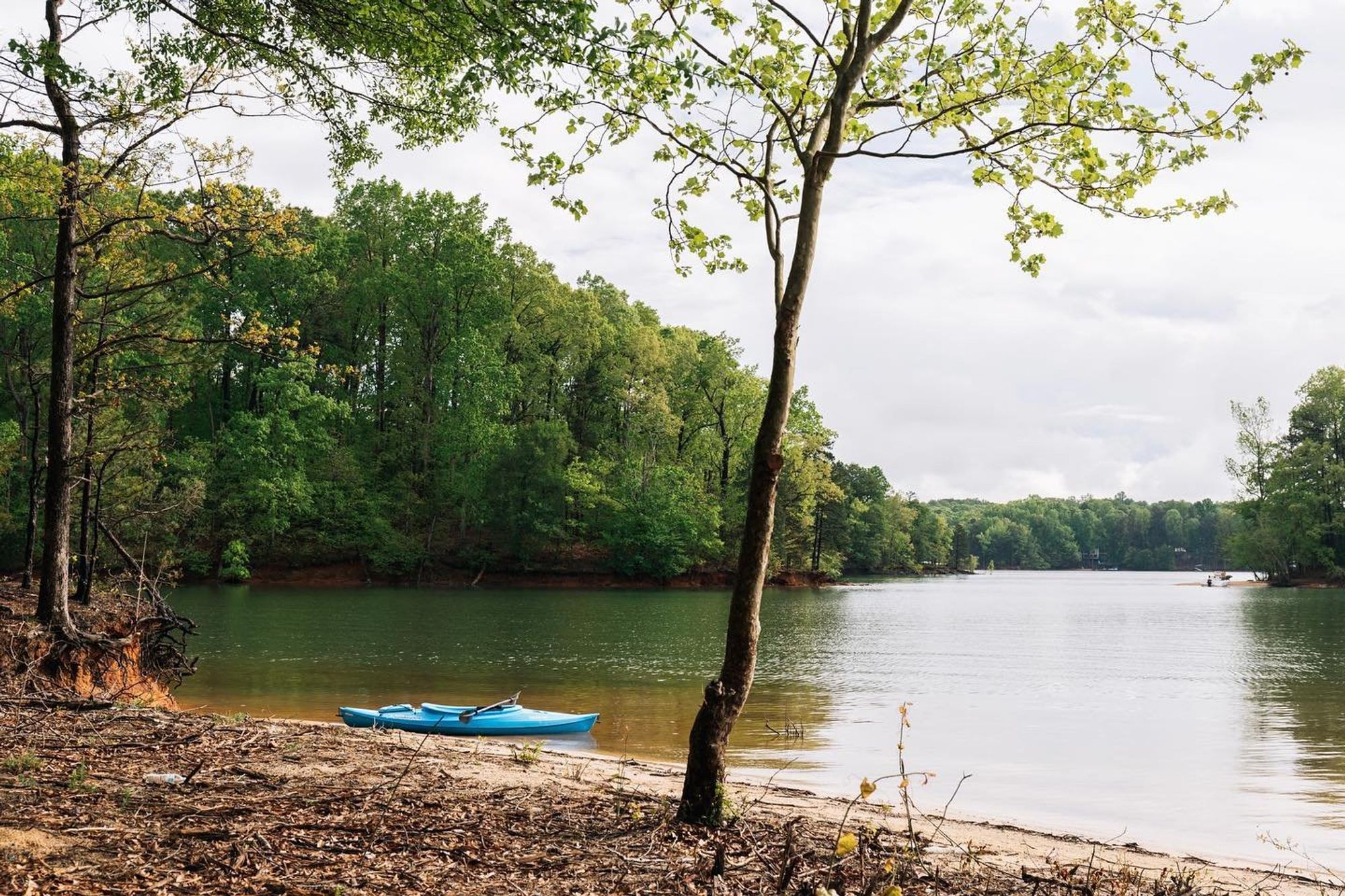 A bright blue kayak rests on the quiet shoreline of Lake Hartwell, ready for a peaceful paddle through calm waters. Surrounded by tall trees and nature, it’s the perfect spot for a relaxing adventure.
