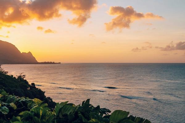 View All Hawaii Posts & Partners