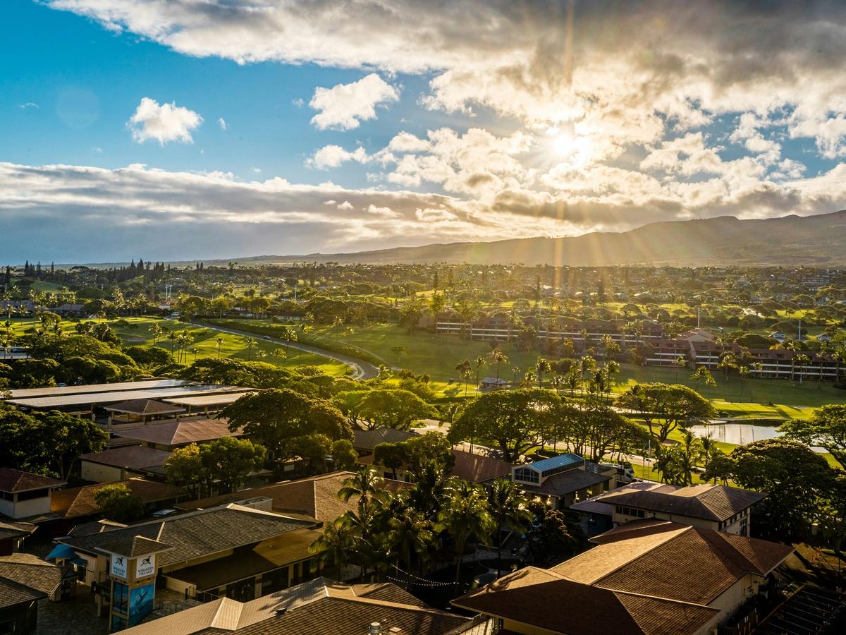 Aerial view of homes and greenery in Maui with sun setting
