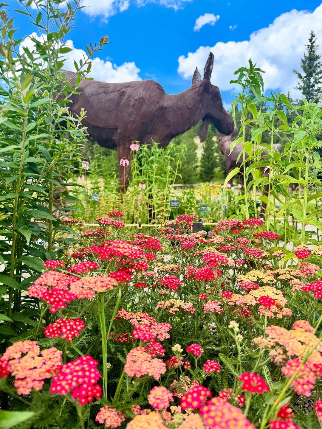 Vibrant wildflowers bloom beneath a sunny sky, with metal moose sculptures peeking through the garden. The scene captures the beauty and creativity of Montana’s summer wildflower season