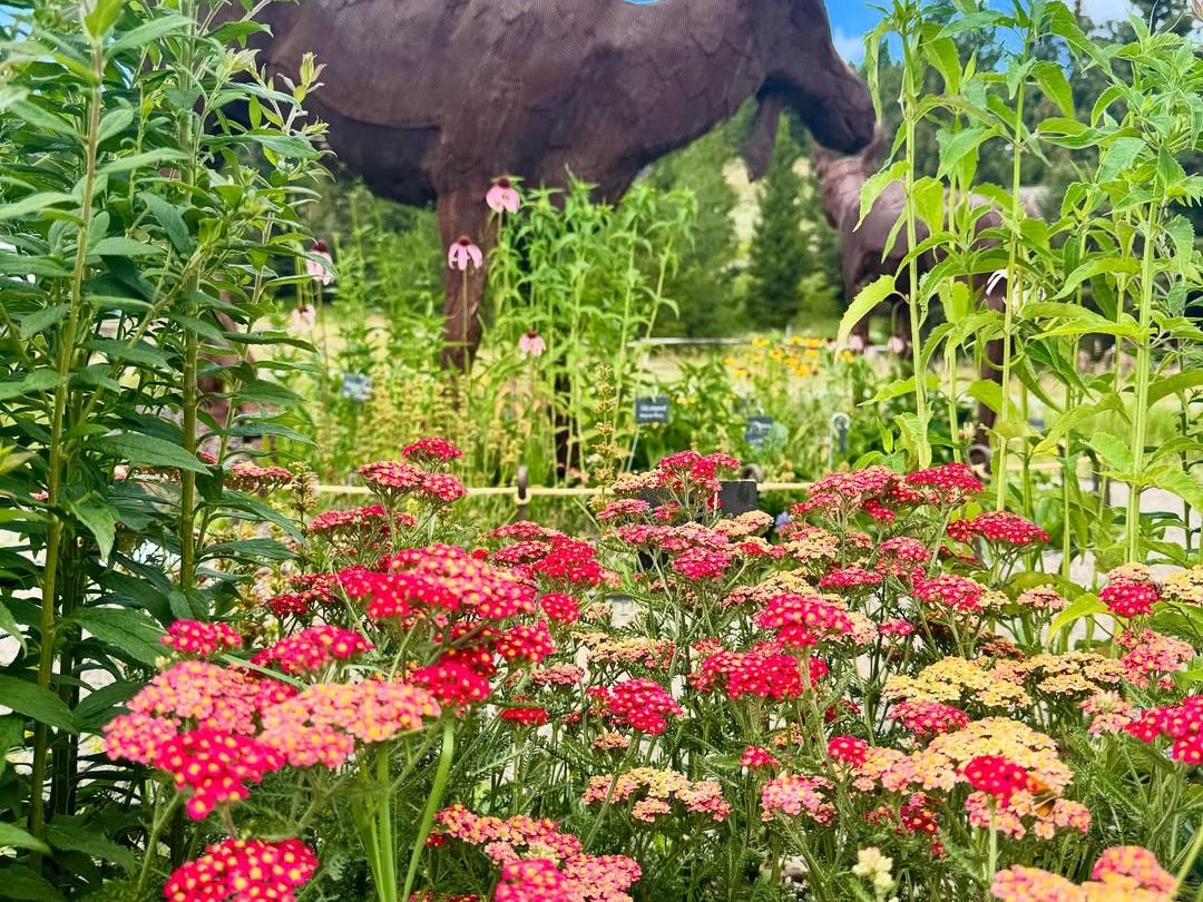 Vibrant wildflowers bloom beneath a sunny sky, with metal moose sculptures peeking through the garden. The scene captures the beauty and creativity of Montana’s summer wildflower season