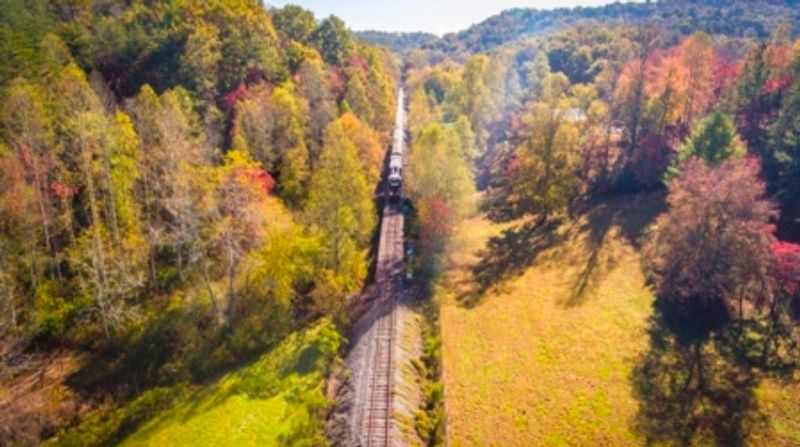 8 Kid-Friendly Attractions in Blue Ridge That Will Make Your Vacation a Winner