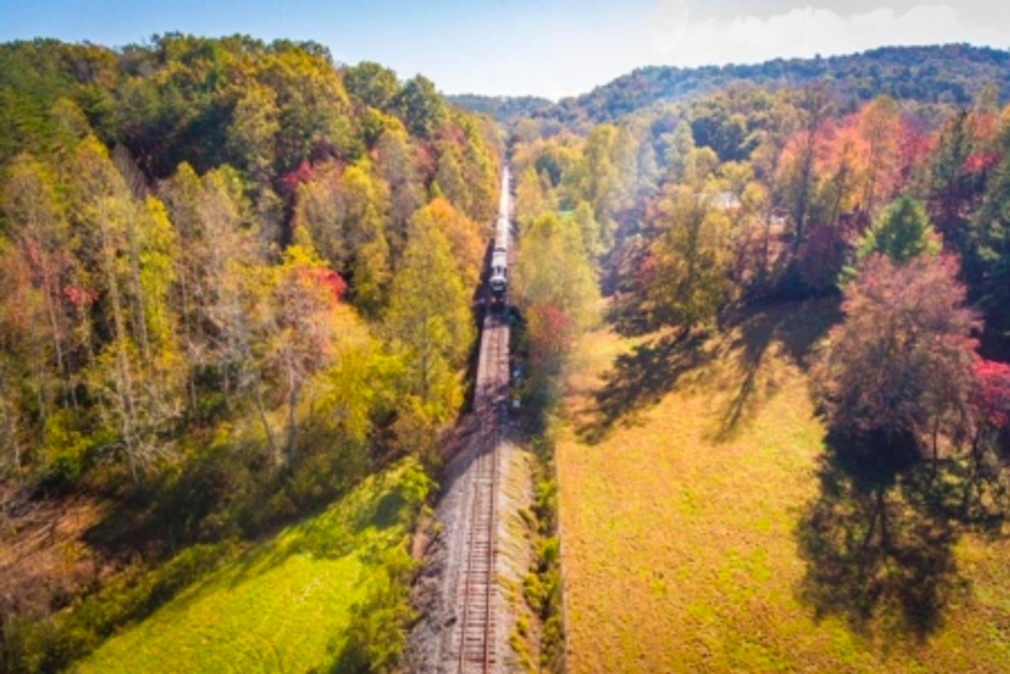 8 Kid-Friendly Attractions in Blue Ridge That Will Make Your Vacation a Winner