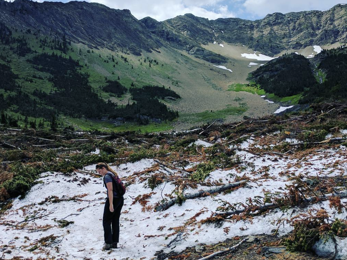 A hiker walks across a patch of snow and fallen branches in a rugged alpine valley surrounded by steep, green mountains with scattered snowfields.