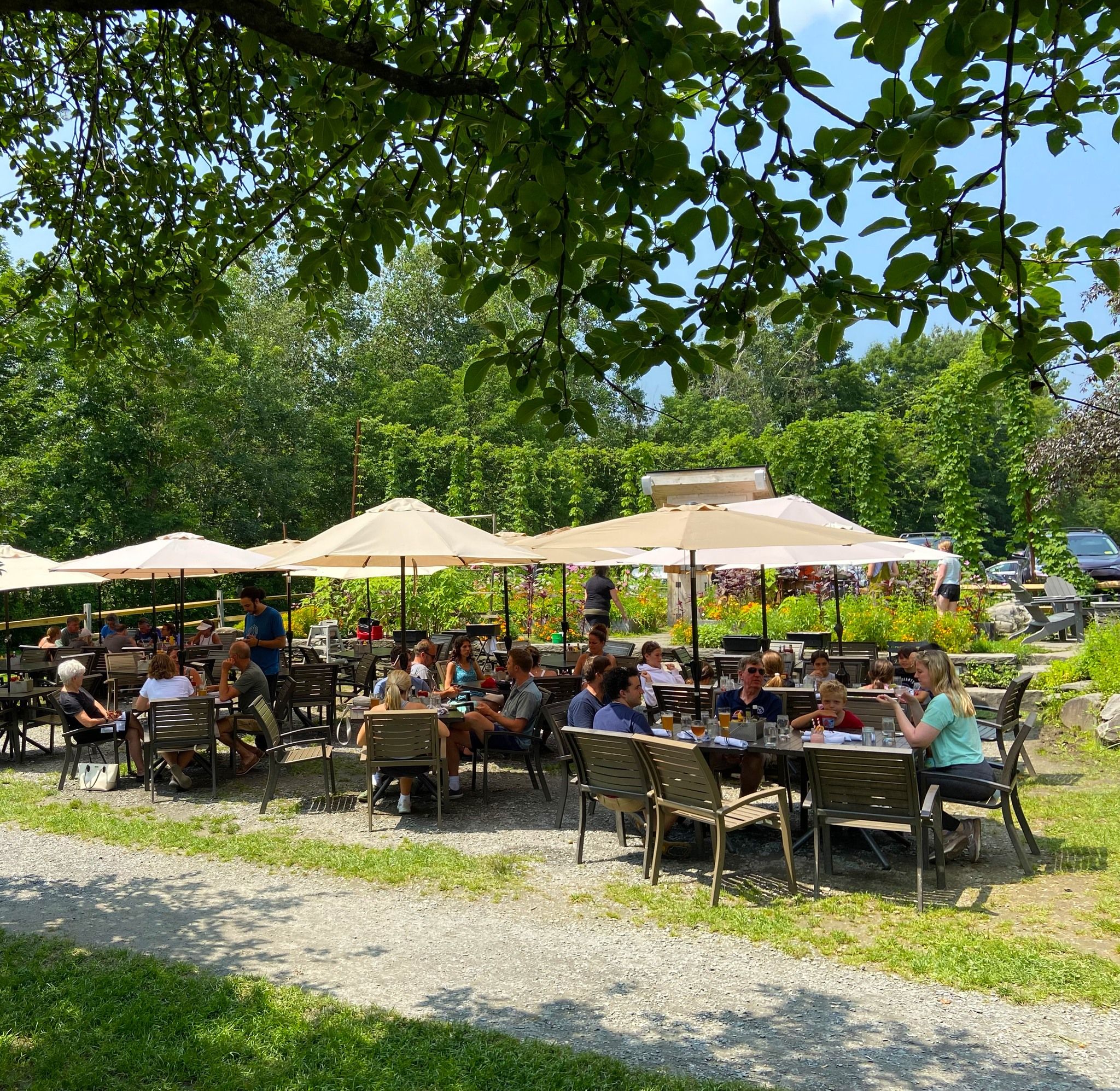 An ice sculpture display at von Trapp Brewing with snow-covered mountains in the background. This winter scene highlights Stowe’s unique food and beer culture paired with unforgettable mountain views.