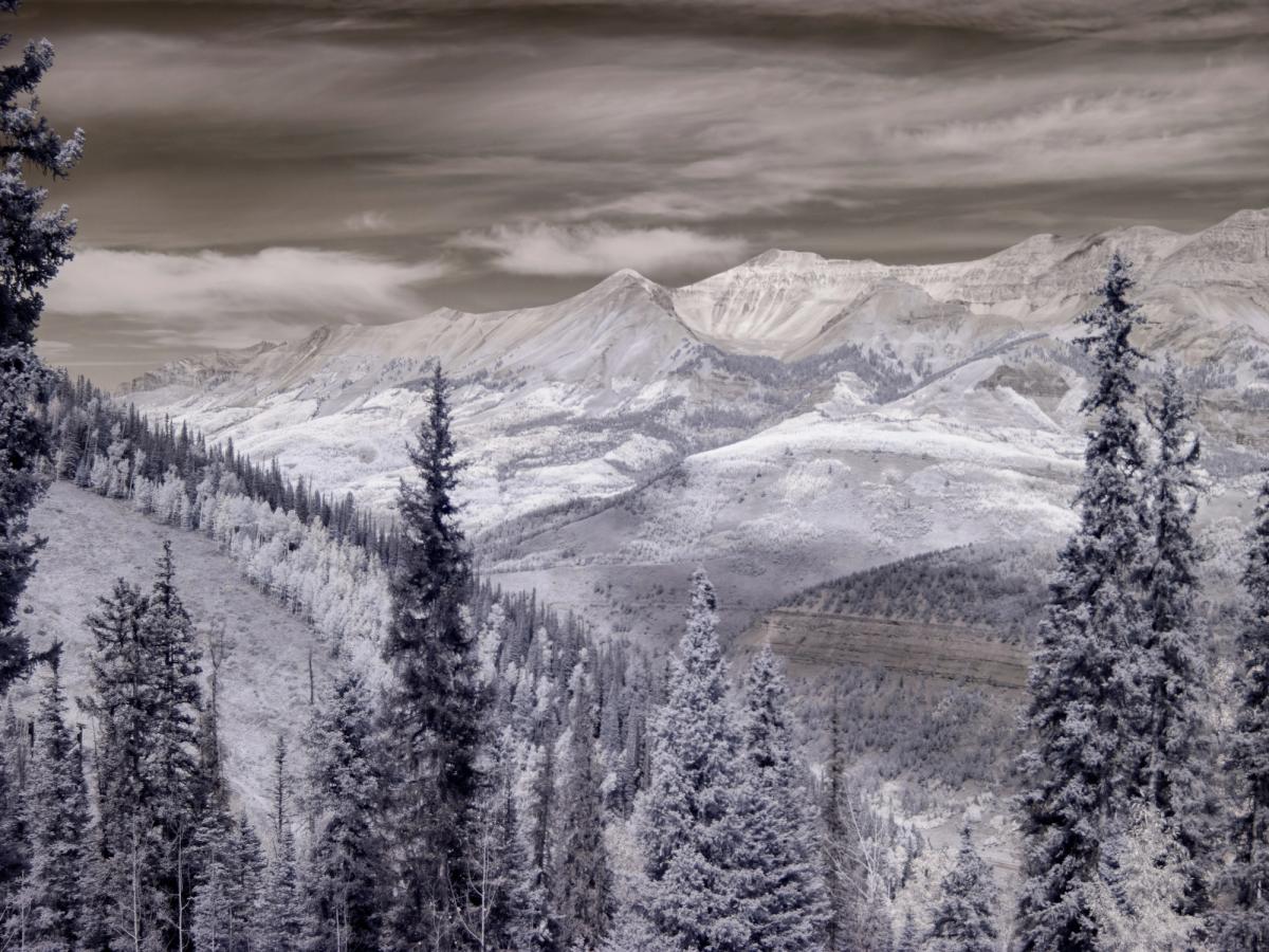 Snow-dusted evergreens frame a dramatic view of the San Juan Mountains, their rugged peaks glowing beneath a moody sky in this infrared-style landscape.