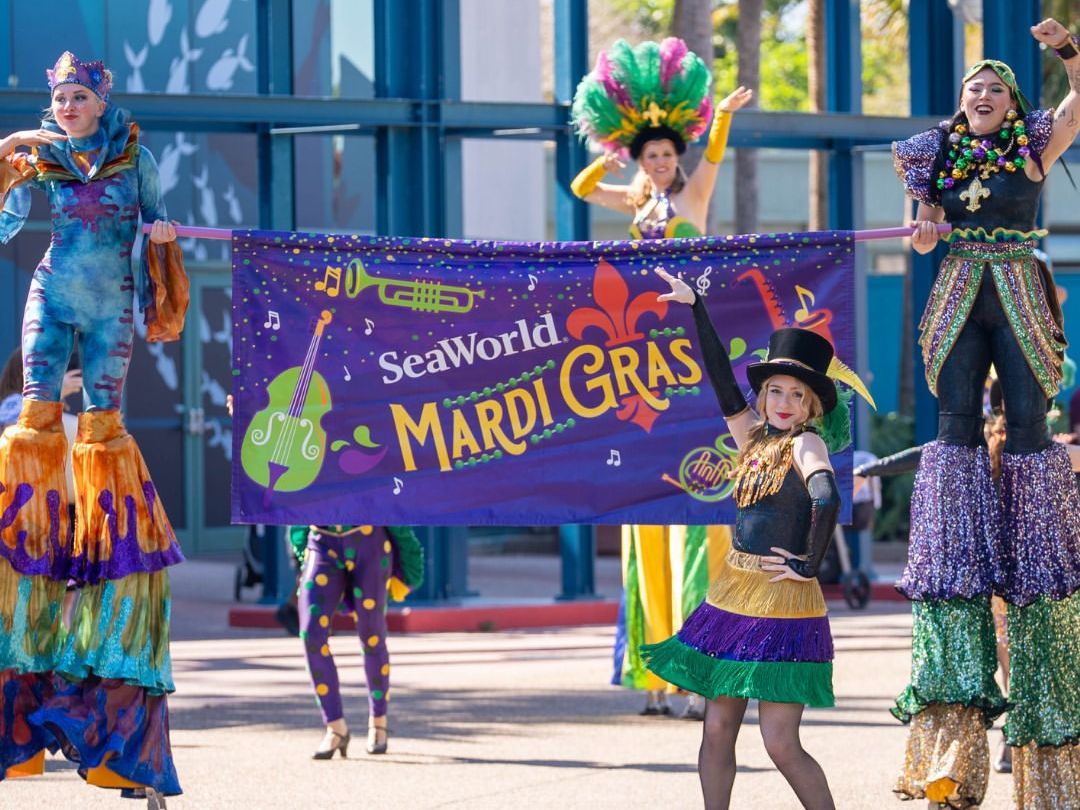 Performers in colorful costumes celebrate SeaWorld Orlando’s Mardi Gras event with music, dancing, and festive parades. A lively seasonal experience.