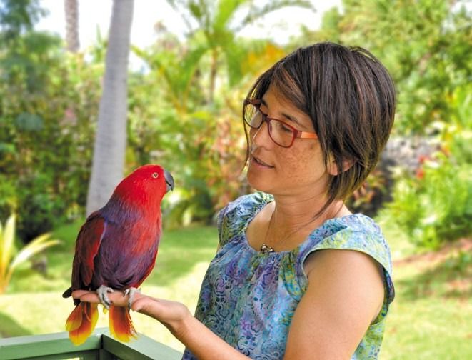 A vibrant scarlet parrot perches calmly on a woman’s hand at the zoo, showing off its bright feathers against a tropical backdrop. It’s a colorful encounter that highlights Hawaii’s exotic birdlife.