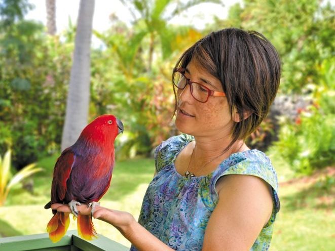 A vibrant scarlet parrot perches calmly on a woman’s hand at the zoo, showing off its bright feathers against a tropical backdrop. It’s a colorful encounter that highlights Hawaii’s exotic birdlife.