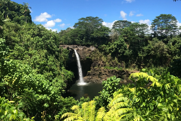 Family-Friendly Activities On The Big Island, Hawaii