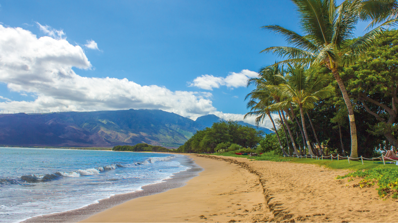 The Definitive Guide to Everything on the Big Island, HI