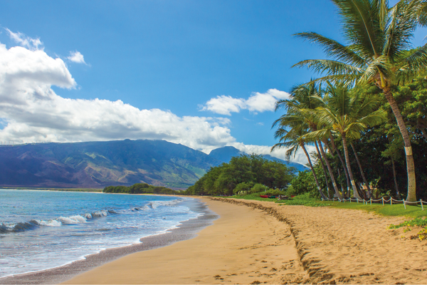 The Definitive Guide to Everything on the Big Island, HI