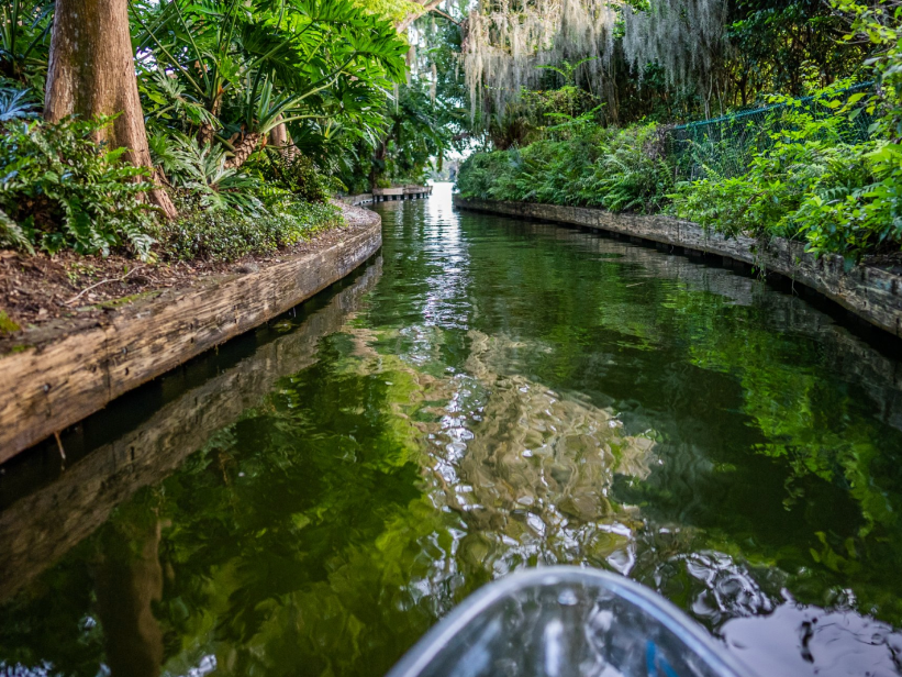 Clear Bottom Kayak on River in Orlando, FL