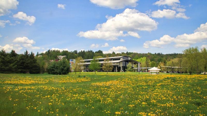 8 Stowe Attractions that Balance Adventure and Relaxation