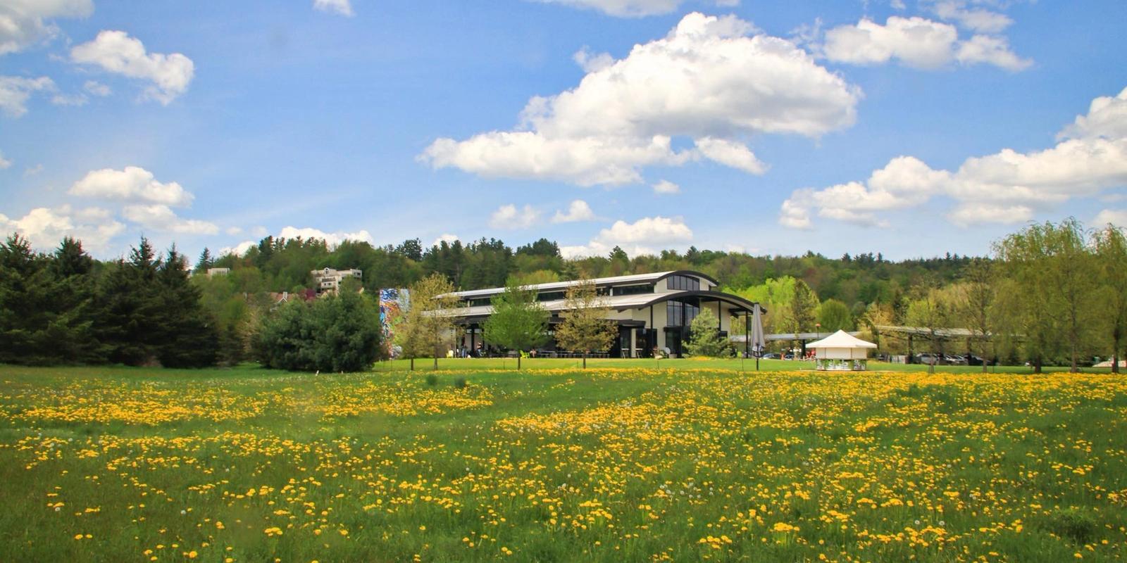 8 Stowe Attractions that Balance Adventure and Relaxation