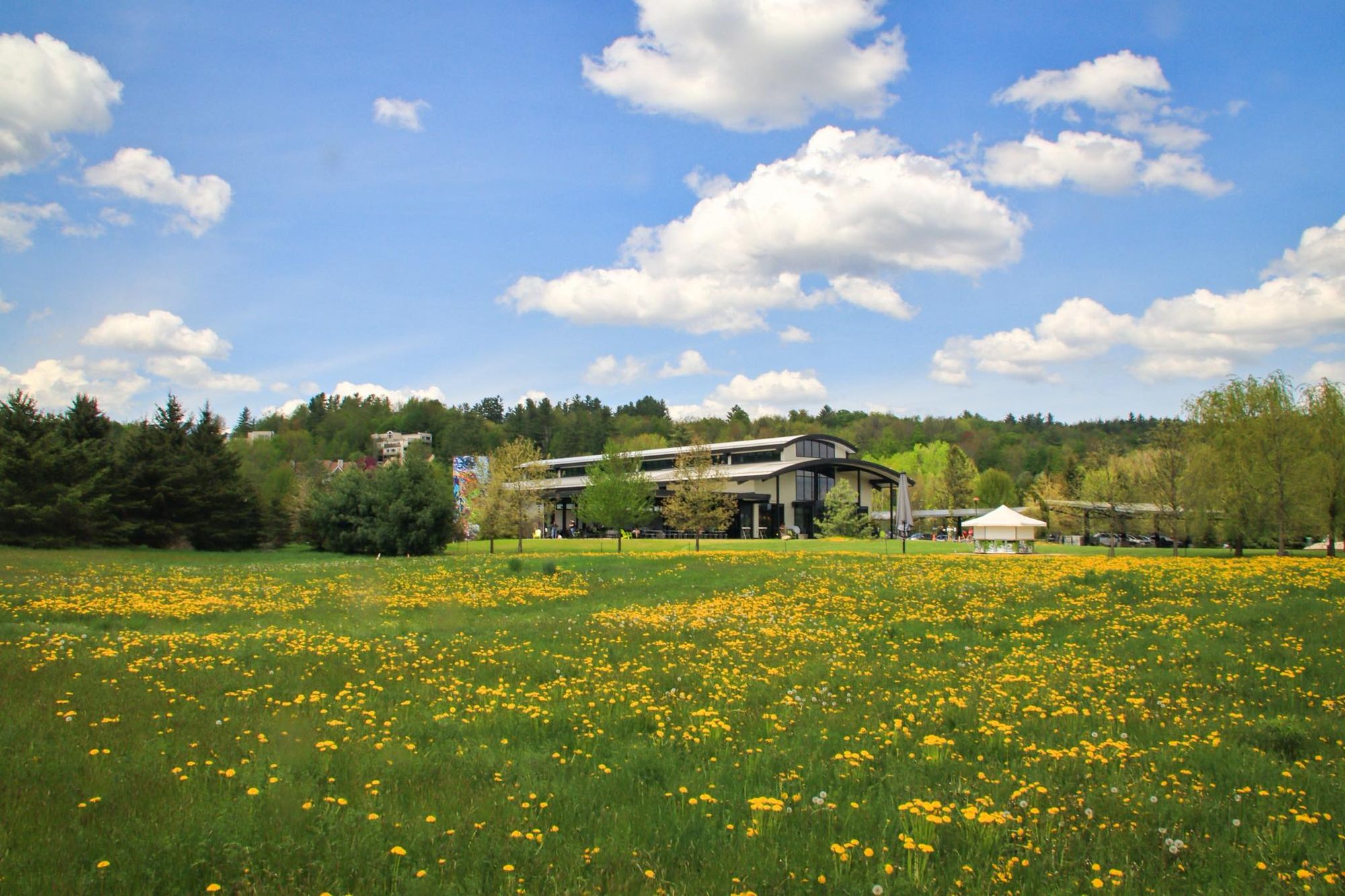 8 Stowe Attractions that Balance Adventure and Relaxation