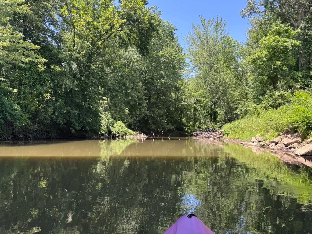 A calm creek mirrors tall green trees on a bright summer day, while the tip of a purple kayak points down the still water. It’s a slow, easy paddle in a shady, nature-filled spot.