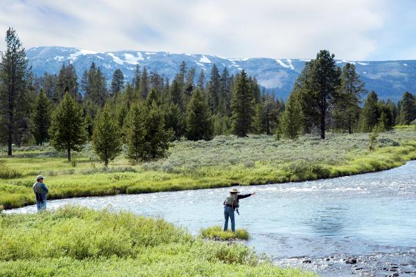 Fly fishing