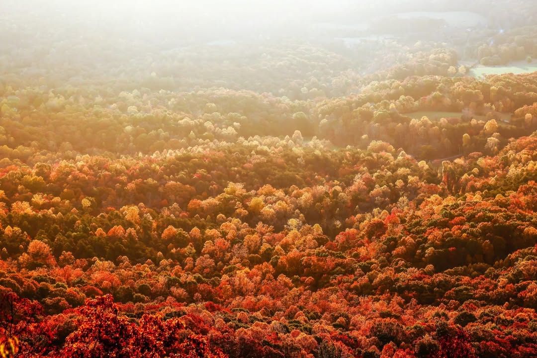 Golden morning light spreads across the rolling hills of Greater Asheville, highlighting vibrant fall foliage in shades of red, orange, and yellow. This scenic mountain view captures the beauty of autumn in Asheville, making it a perfect destination for leaf-peeping and fall getaways.