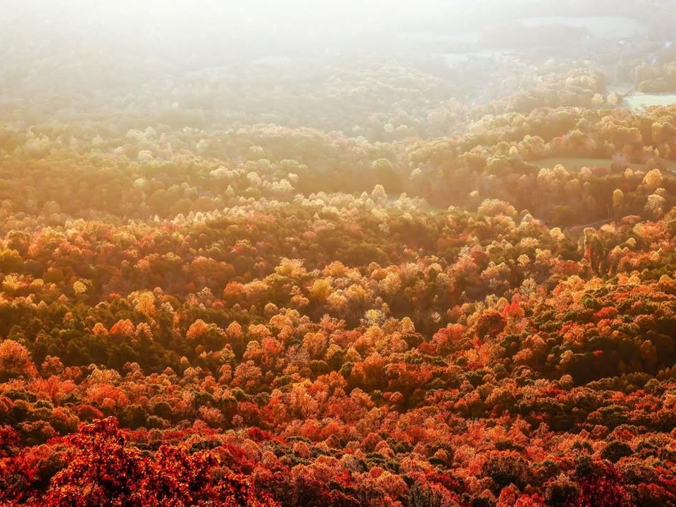 Golden morning light spreads across the rolling hills of Greater Asheville, highlighting vibrant fall foliage in shades of red, orange, and yellow. This scenic mountain view captures the beauty of autumn in Asheville, making it a perfect destination for leaf-peeping and fall getaways.