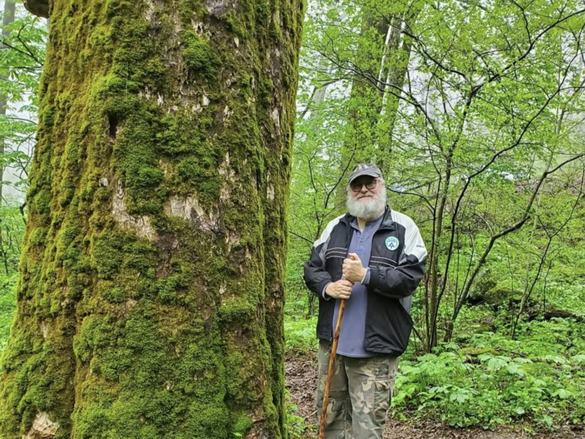A bearded man in outdoor gear stands beside a massive moss-covered tree in a lush, green forest while holding a wooden walking stick.