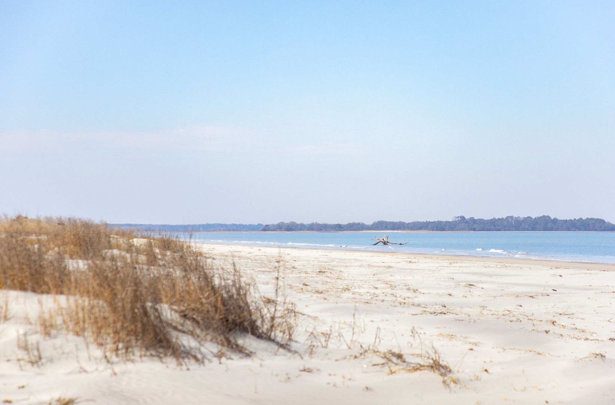 A quiet stretch of soft white sand curves along the peaceful shoreline, touched by gentle waves. Dry coastal grass and driftwood add a natural, untouched feel to the beach. It’s a perfect spot for a slow walk or quiet morning by the water.