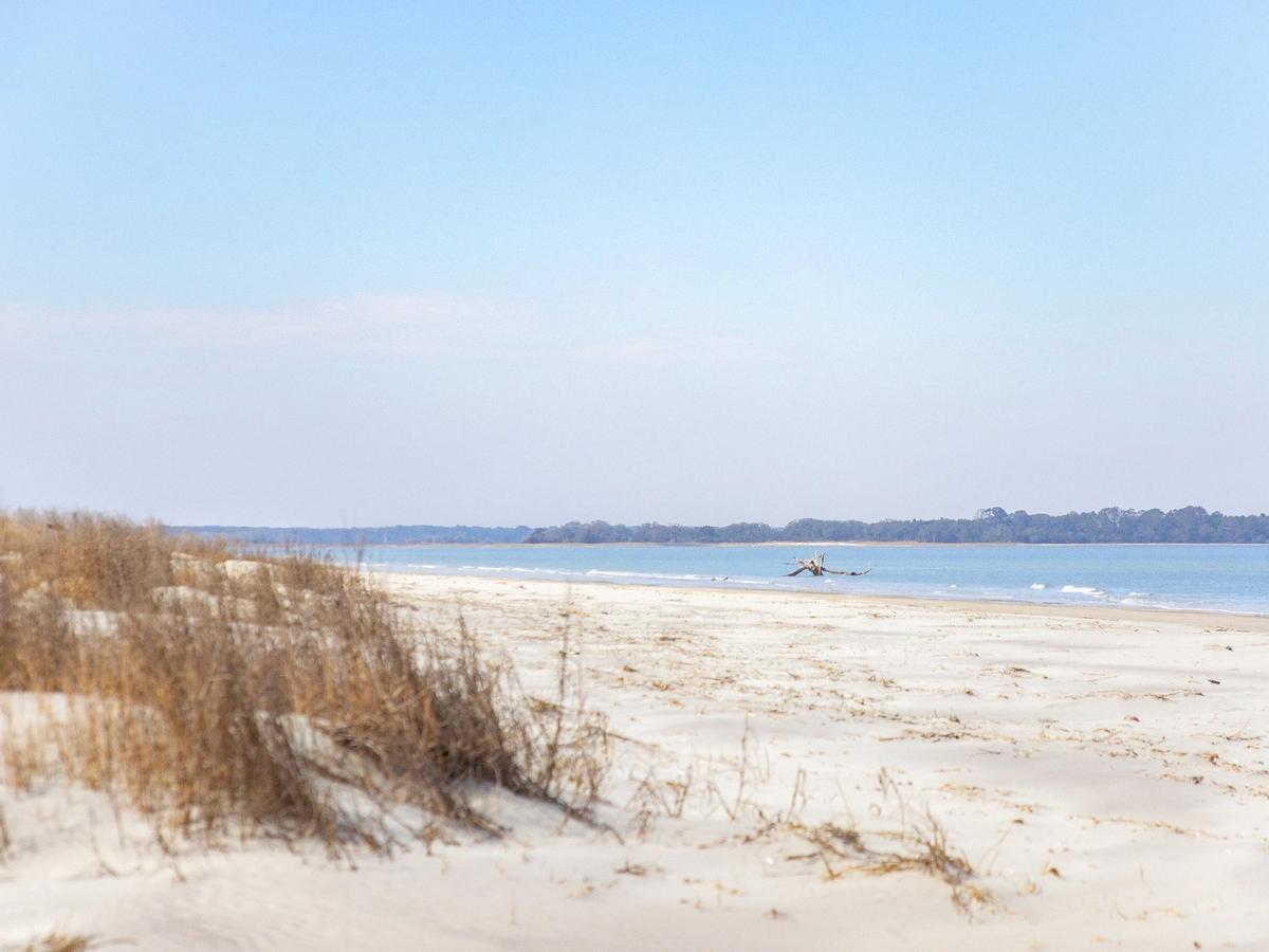 A quiet stretch of soft white sand curves along the peaceful shoreline, touched by gentle waves. Dry coastal grass and driftwood add a natural, untouched feel to the beach. It’s a perfect spot for a slow walk or quiet morning by the water.