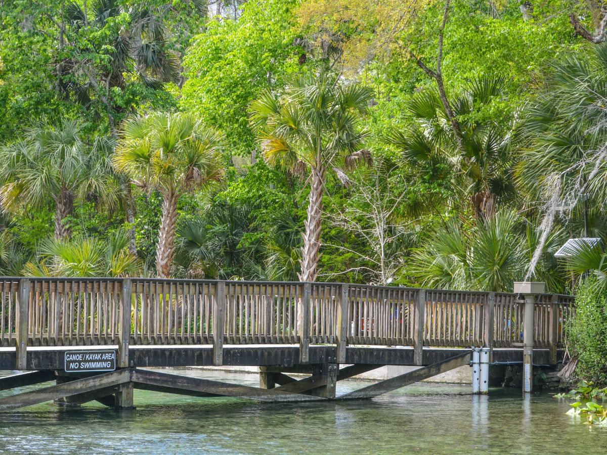 View of Bridge in Wekiwa Springs near Orlando Florida