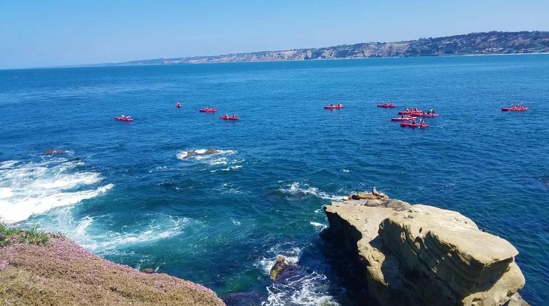 9 Incredible San Diego Beach House Rentals