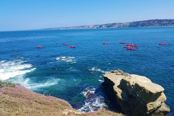 9 Incredible San Diego Beach House Rentals