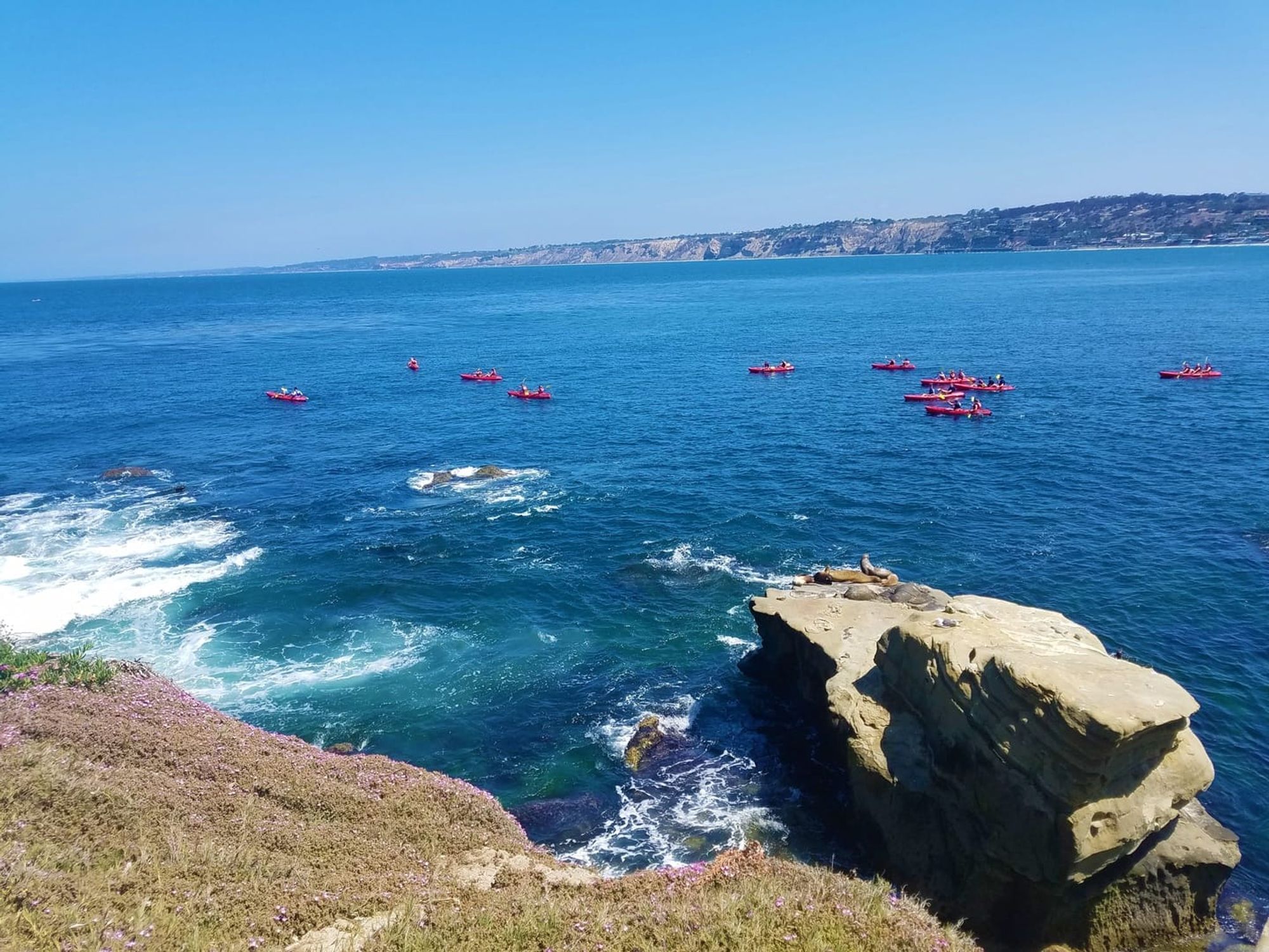 Bird’s-eye view of red kayaks floating on deep blue water near a rocky shoreline. Perfect for adventure seekers exploring the coast by paddle in La Jolla.