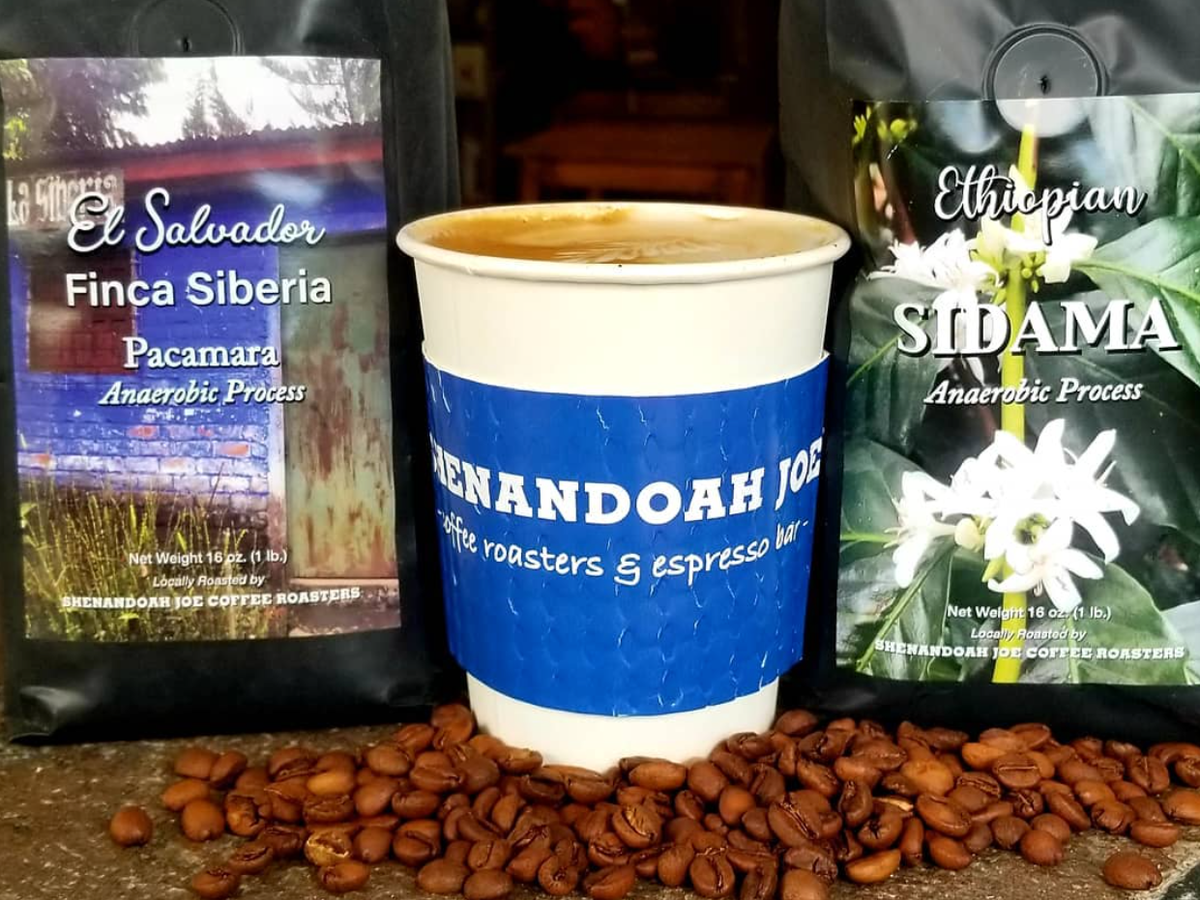 A cup of coffee with a blue "Shenandoah Joe Coffee Roasters & Espresso Bar" sleeve sits between two bags of specialty coffee beans. One bag is labeled "El Salvador Finca Siberia Pacamara Anaerobic Process," featuring an image of a rustic building, while the other is labeled "Ethiopian Sidama Anaerobic Process," showcasing coffee plant flowers. Roasted coffee beans are scattered in the foreground.