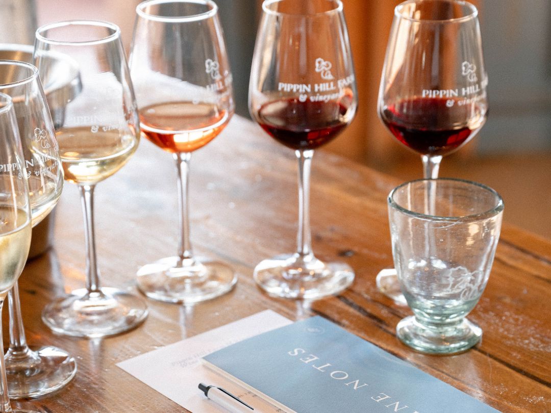 A wine tasting setup with several glasses of red, rosé, and white wine lined up on a rustic wooden table. A tasting booklet and pen sit nearby, showing the hands-on experience of learning about different wine styles. This scene reflects a casual yet thoughtful winery tasting that’s perfect for weekend visitors.