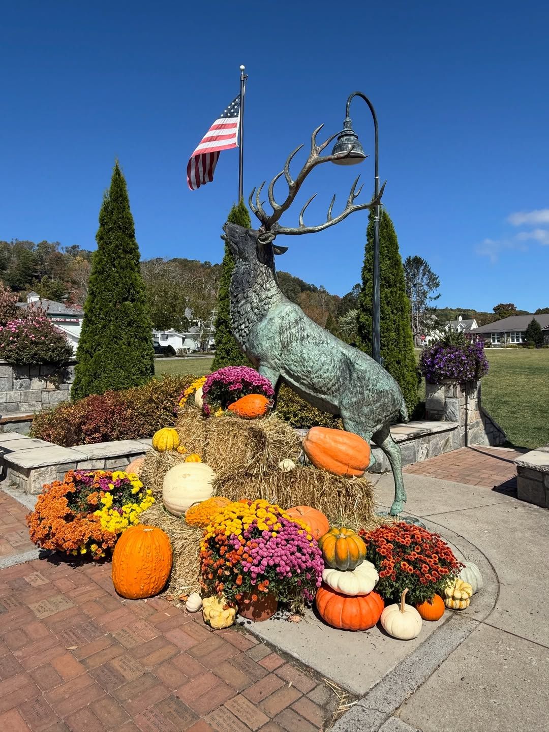 A large elk statue stands proudly surrounded by pumpkins, hay bales, and colorful fall flowers during the Harvest Festival in Boone, Blowing Rock, and Banner Elk. This festive autumn display captures the charm of mountain towns in North Carolina, making it a favorite spot for fall photos and seasonal events.