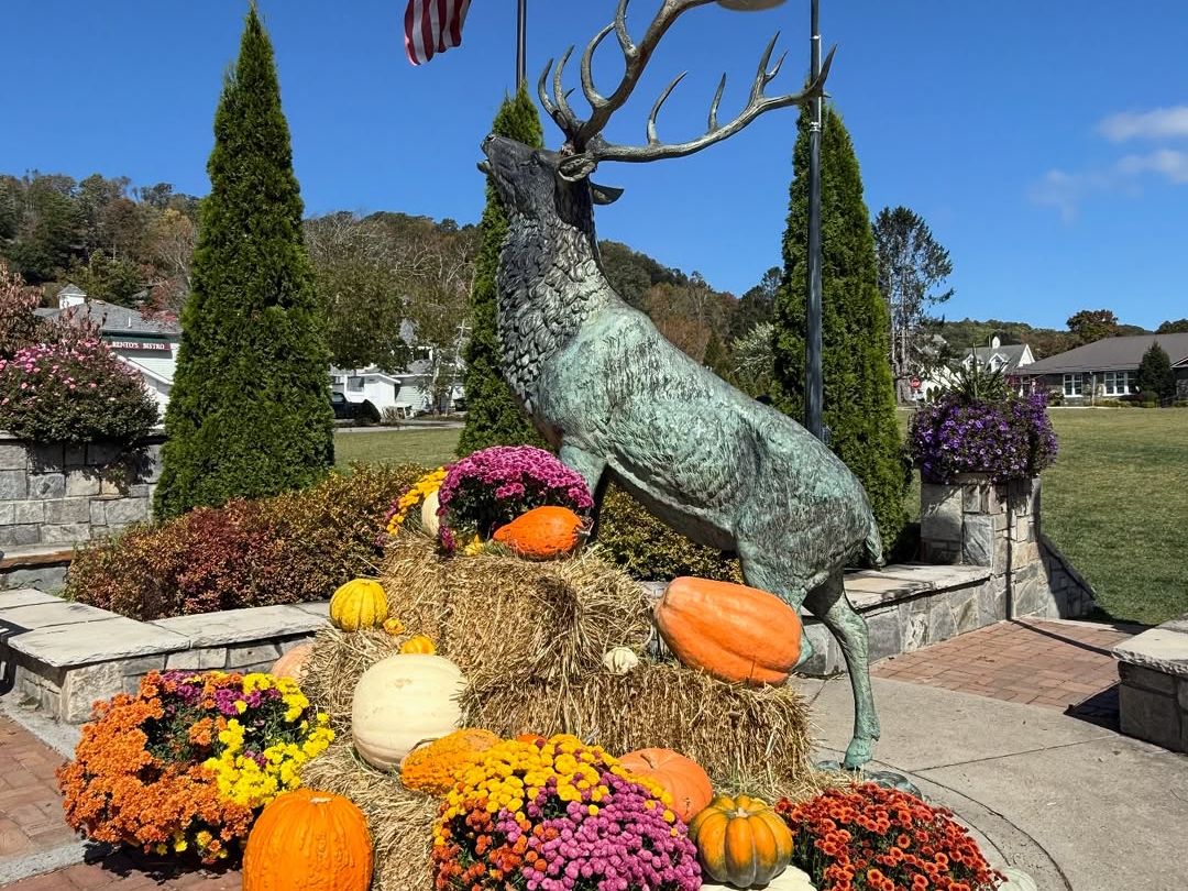 A large elk statue stands proudly surrounded by pumpkins, hay bales, and colorful fall flowers during the Harvest Festival in Boone, Blowing Rock, and Banner Elk. This festive autumn display captures the charm of mountain towns in North Carolina, making it a favorite spot for fall photos and seasonal events.