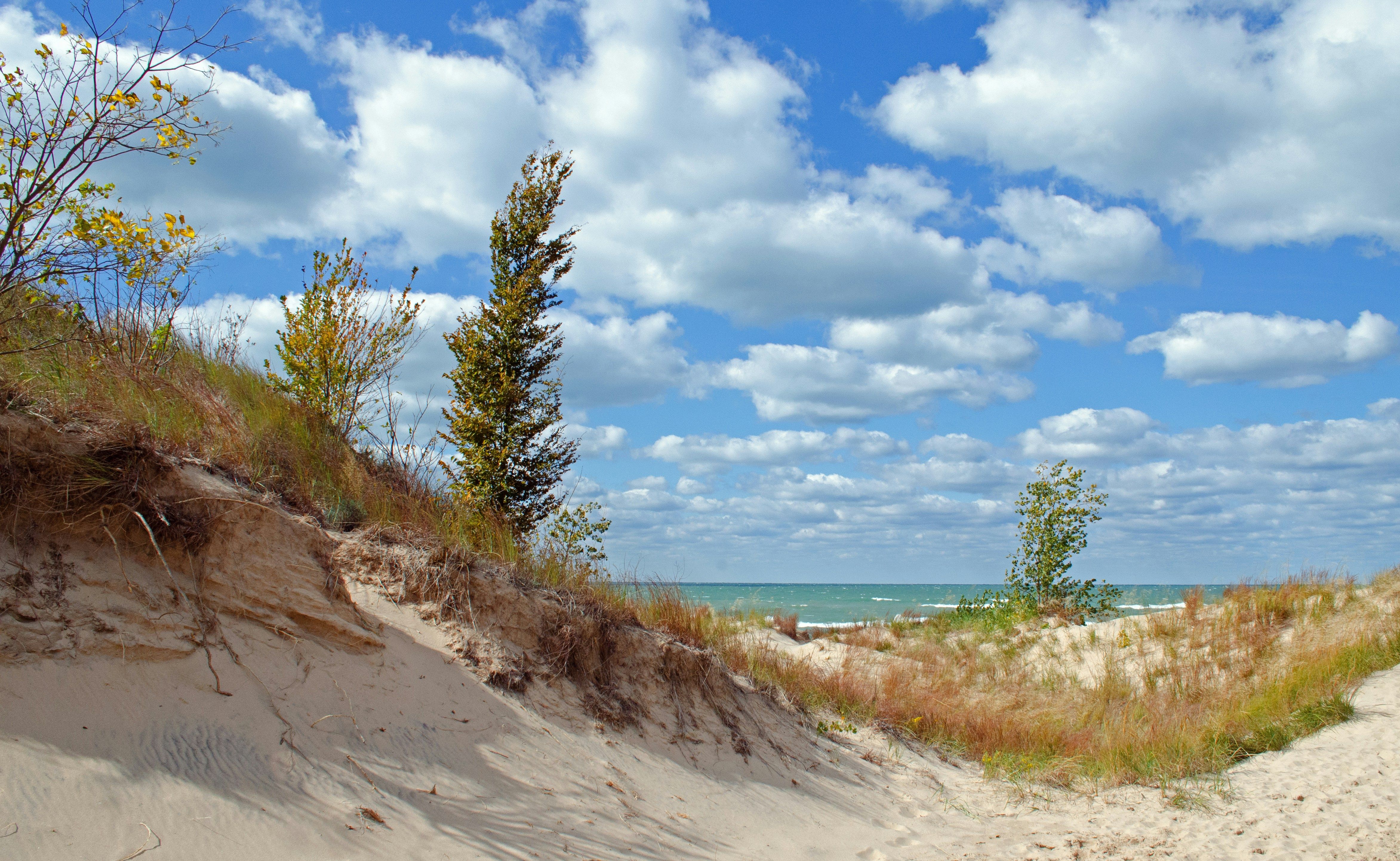 Sandy dunes covered with grasses and small trees lead toward a turquoise lake under a bright blue sky filled with fluffy white clouds.