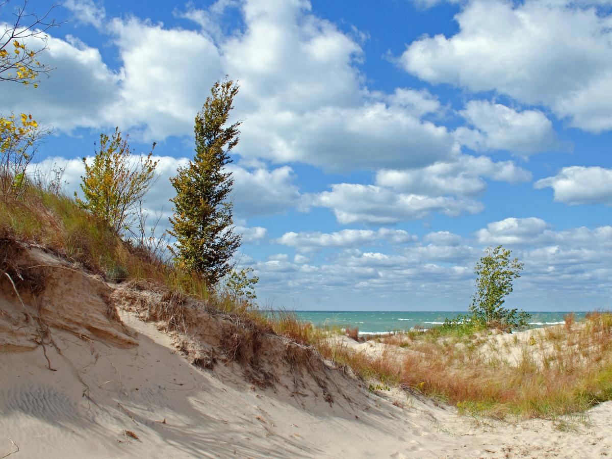 Sandy dunes covered with grasses and small trees lead toward a turquoise lake under a bright blue sky filled with fluffy white clouds.