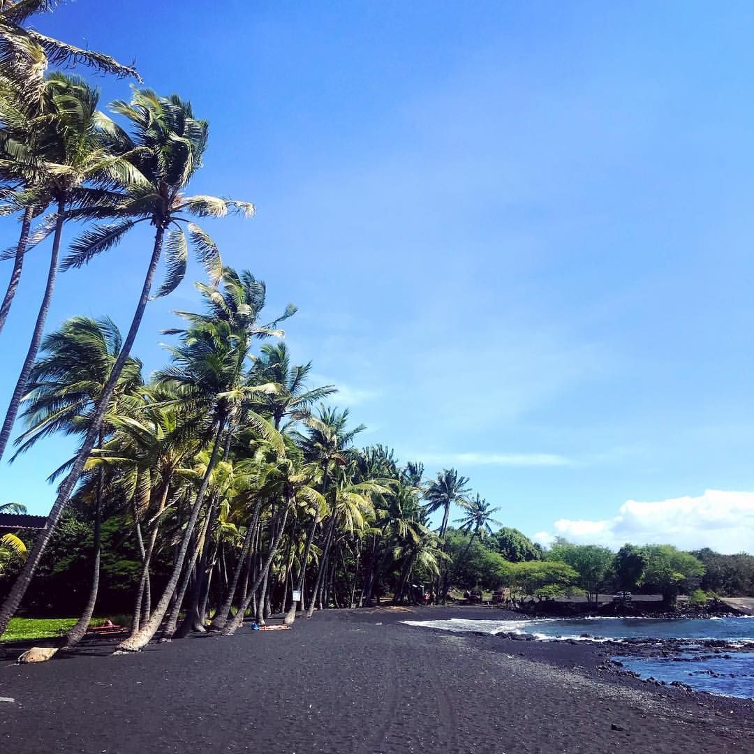 Punaluʻu Black Sand Beach is striking with its jet-black shoreline framed by tall palm trees swaying in the breeze. Known for its unique sand and often-seen sea turtles, it’s a must-visit stop on the Big Island.