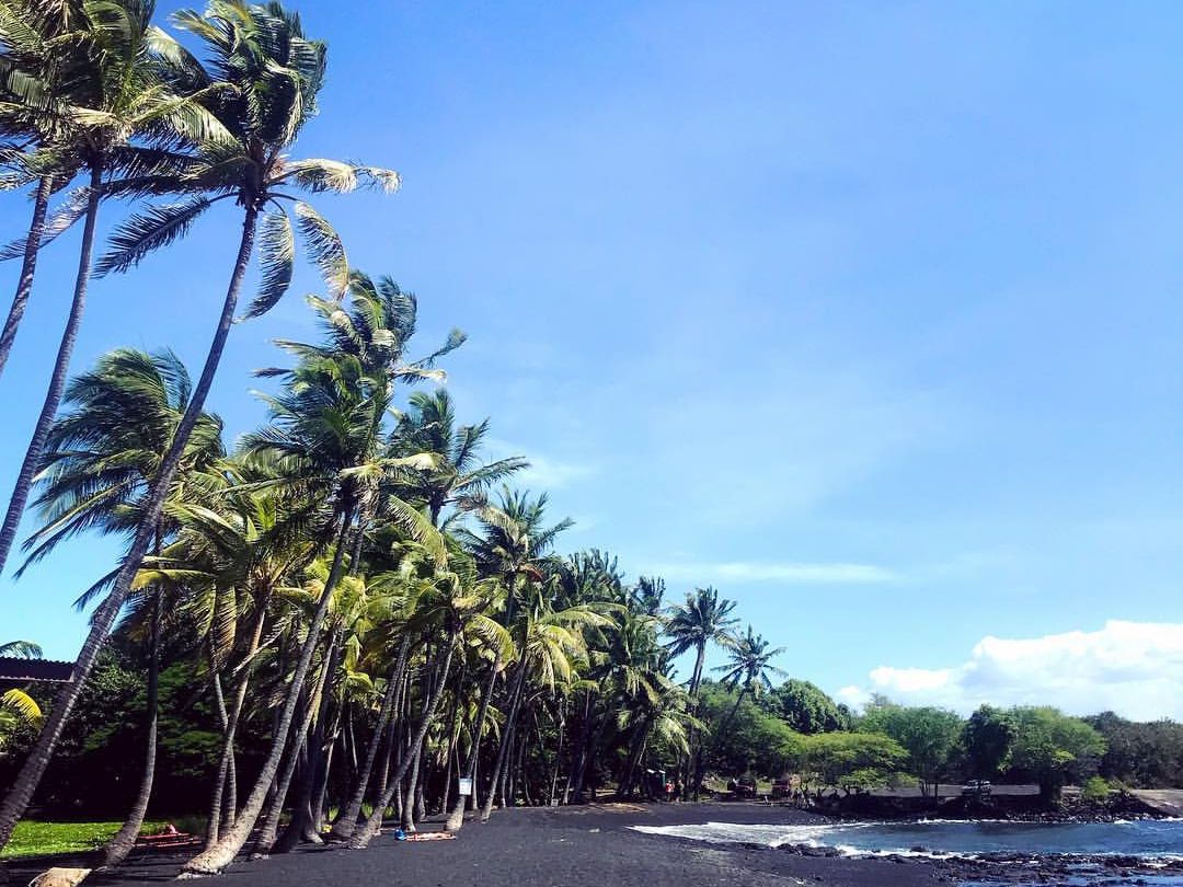 Punaluʻu Black Sand Beach is striking with its jet-black shoreline framed by tall palm trees swaying in the breeze. Known for its unique sand and often-seen sea turtles, it’s a must-visit stop on the Big Island.